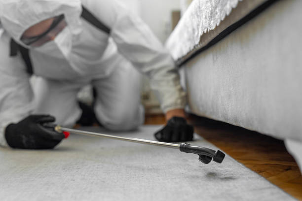 Professional Pest Control technician working in Mar-Mac, NC