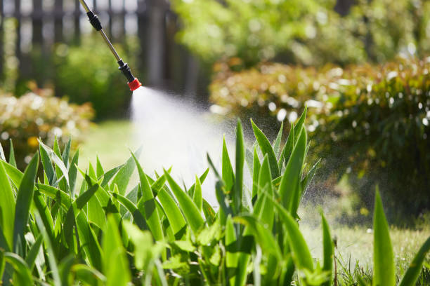 24/7 Emergency Pest Control experts in Mar-Mac, NC